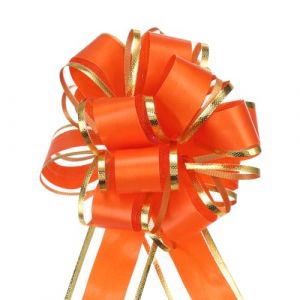 QUARKZMAN Noeud Cadeau 10Pcs 10cm Noeud de Ruban de No&euml;l avec Bordure Dor&eacute;e, Ruban d'emballage Cadeau en Organza pour Voiture, N&oelig;ud pour Paniers de Voiture de Mariage, N&oelig;ud, Orange Rouge (QUARKZMAN, neuf)