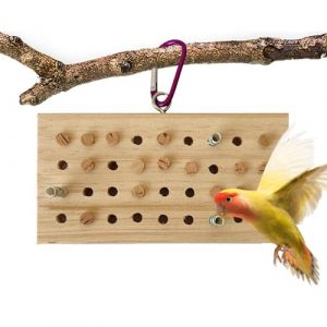 Jouet d'entra&icirc;nement pour oiseau - Oiseau et bouche - Pivoine noire - Petit puzzle d'entra&icirc;nement solaire - Jouet de clavier en bois massif (queen'style, neuf)