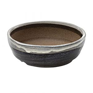 Wazakura Pot &agrave; Bonsa&iuml; en C&eacute;ramique &Eacute;maill&eacute;e avec Trou Drainage 17 cm, Fabriqu&eacute; au Japon, Pot de Fleurs Japonais, Bol pour Plantes, Sable Beige avec Bande Blanche, Artisanat de Style Shigaraki (Wazakura Japan, neuf)