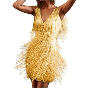 2023 Robe &agrave; Paillettes Samba Tango Latin Robe avec Gland 1920 Party Club Robe de Danse sans Manches Bretelles Spaghetti Dos Nu Glitter Party Mini-Robe Costume de Danse Robe de Cocktail du Soir (mumxucici, neuf)