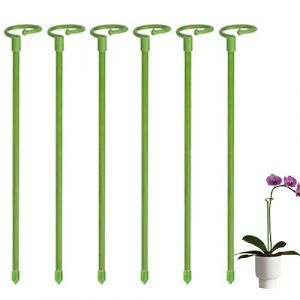 Monstera 6 tuteurs pour plantes d'intérieur - 30 cm - Support rond pour plantes hautes et fleurs - Tuteurs pour orchidées, amaryllis, pivoines, poivrons, etc (amste, neuf)