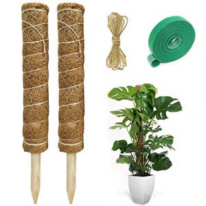 Hongyans 2 Pi&egrave;ces Tuteur Plante Support Plante Grimpante Tuteur Coco pour Plante Monstera Maison Jardin avec 1 Rouleau Serre C&acirc;bles et 1.5m Ficelle de Jute (HongYanDirect, neuf)