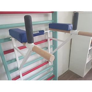 ARTIMEX Appareil à dips attachée à l'espalier - utilisée dans Les Maisons, Les gymnases ou Les centres de Fitness pour l'entraînement et Le Fitness, Code 270 (Blanc) (ArtimexPlay, neuf)