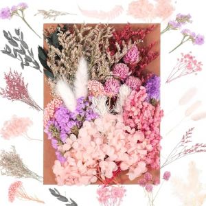 JIEYUCHU Fleurs Séchées, Fleur Sechees Decoration, Fleurs Sechees Naturelles Vraies, pour Scrapbooking Nail Art et DIY Bougie Fabrication de Cartes Art Maquillage Décoration (Tong Mian Shang Wu, neuf)