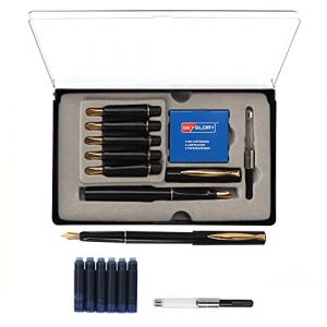 Kurtzy Kit de Calligraphie avec 6 Plumes, Cartouches et Adaptateur d’Encre (14 Pièces) - Stylo Plume Calligraphie avec Encre Bleue - Idéale pour Débutants (Tinyyo Europe, neuf)