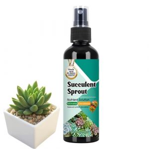 Engrais Cactus - Aliments Des Succulentes - Spray De Promoteur De Croissance Pour Jardinage Extérieur Intérieur - Solution Nutritive À Libération Lente, Booster À Germes, Feuilles Et Aliments (yinxuer, neuf)