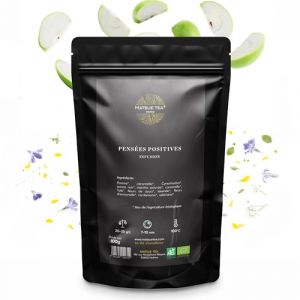 Matsue Tea - Pens&eacute;e Positive - Infusion en vrac - Pomme & Citronnelle - Qualit&eacute; Premium - Feuilles de Th&eacute; Ramass&eacute;es &agrave; la Main - 100 g (MATSUE TEA, neuf)