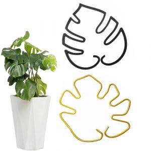 Changyeah Lot de 2 tuteurs pour plantes d'int&eacute;rieur - Support pour plantes grimpantes - Support pour plantes en pot (dor&eacute; et noir) (guizhoulailierdianzishangwuyouxiangongsi, neuf)