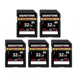 [5 Ans Récupération de données Gratuite] GIGASTONE 32Go Lot de 2 Carte SD, 4K Camera Extreme, Vitesse jusqu'à 100 Mo/s, A2 V30 U3 SDHC Video pour Canon Nikon Sony Kodak Panasonic avec 5 Mini étuis (Gigastone Pro, neuf)