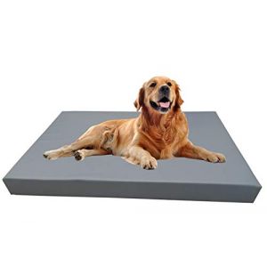 Barry & Lucy Matelas pour Chien Amovible - Tapis De Couchage Chiot, Coussin Place en Simili Cuir, Plusieurs Couleurs (125x100x10, Argent) (chillypilley, neuf)