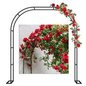 120cm 140cm 180cm Arche De Jardin En M&eacute;tal 200cm 240cm 280cm 350cm Arceau &Agrave; Rosiers Robuste Pour Plantes Grimpante, Ext&eacute;rieure Mariage Cour Passerelle D&eacute;coration Tonnelle De Jardin ( Size : 350x220x40 (There's a bright future for everyone, neuf)