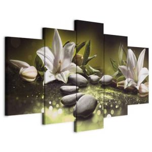 murando - Tableau décoratif nature 225x112,5 cm - Impression sur toile colorée - Décoration murale pour salon et chambre - Pierre fleurs nature orienter les plantes zen b-A-0362-b-n (murando, neuf)