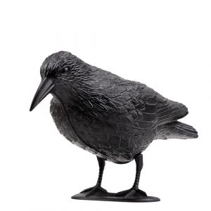 Tymar Répulsif contre les pigeons pour balcon - Répulsif contre les pigeons - En plastique - Corbeau - 1 pièce (Julmax, neuf)