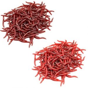 NJCXOLA 100 Pièces Ver Terre Artificiel, Biomimetic Soft Appât Pêche Leurre Simulation Souple Faux Wiggler Vivant Compostage Accessoire Attirail Mer Boîte Pêcheur Artificiel Eau Douce Odeur Poisson (CELTIC MANUFACTURING, neuf)