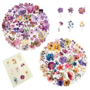 ARYIMYDP 100 Autocollants en PET Transparent, Autocollants Floraux pour Scrapbooking, Autocollants de Fleurs Naturelles, Imperm&eacute;ables et Esth&eacute;tiques, pour Journal, Artisanat, Enveloppes, Cartes (UIRYFAZHANYOUXIANBAODAN, neuf)