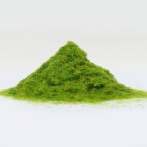 Gdfnmogo Maquette d'herbe, herbe d'&eacute;t&eacute; flocage statique, sc&egrave;ne miniature, mod&egrave;le de table de sable, flocage de gazon, pelouse en nylon, poudre d'herbe (30 g) (goodfunlifes, neuf)