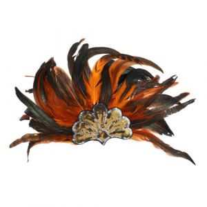 PACKOVE Coiffe &agrave; Plumes D&eacute;corative Pour Adulte Bandeau &agrave; Plumes Coiffe De Carnaval Pour Femme Et Homme (Spring TU, neuf)