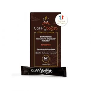 Substitut de Caf&eacute; Sans Caf&eacute;ine Premium &ndash; &Eacute;nergie & Concentration Naturelles &ndash; Cordyceps & Adaptog&egrave;nes Brevet&eacute;s &ndash; Avec Vitamines & Min&eacute;raux &ndash; 14 Sticks Instantan&eacute;s (1 Stick = 2 Tasses) (French Vitality, neuf)