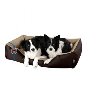 BedDog Lit pour Chien XXL - Orelier - Panier - Canapé - Housse Amovible, Lavable, pour Moyen-Grands Chiens (SOGO-GmbH, neuf)