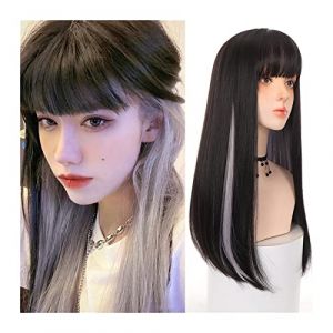 Aspect naturel, Perruque de cheveux longs et raides avec frange noir naturel avec surbrillance argent perruque droite synthétique droite quotidienne fête cosplay perruque for les femmes,Style impecca (liliu, neuf)