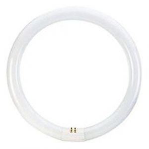 Tube circulaire T9 40w 6500K LEUCI (DSTOCK60, neuf)
