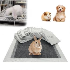 PeSandy Coussinets Jetables pour Lapin, Tapis Hygi&eacute;nique Absorbant pour Cochon d'inde, Lot de 120 Tapis &Eacute;ducateurs avec Surface &agrave; S&eacute;chage Rapide pour Chiots Chats Chinchillas Hamsters Furets H&eacute;rissons (Sallie-Wong, neuf)