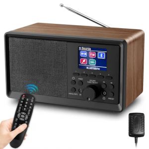 Sentasi Radio Dab, Dab Plus Num&eacute;rique Rechargeable avec Bluetooth 5.0, FM Vintage Radio Cuisine ave ctelecommande &eacute;cran LCD Couleur 2.4, Connexion MicroSD/TF/AUX，R&eacute;veilDouble, Minuterie de Veille bois (SZZHFAGE, neuf)