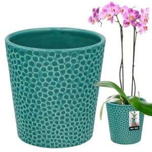 KOTARBAU® Pot De Fleur Rond en Céramique Turquoise ⌀ 12 cm |Cache Pot Céramique |Pot Céramique Plante |Pot De Fleur Céramique |Pot De Fleur en Céramique |Pot De Fleur Céramique |Pot pour Orchidées (KOTARBAU, neuf)