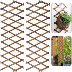 LATERN 2 Pièces Treillis Extensible pour Plantes, 180CM x 30CM Panneau en Treillis de Bois pour Plantes Grimpantes Cadre Décoratif Mural Suspendu pour Chambre Jardin Terrasse Intérieur Extérieur (QINGJIN-EU, neuf)