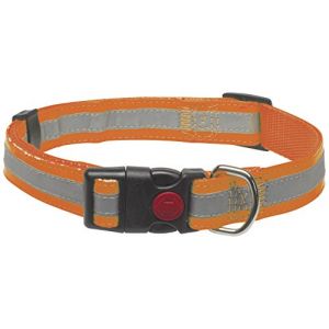 CHAPUIS SELLERIE Collier pour Chien Sangle Renforc&eacute;e R&eacute;glable Nylon Orange 15 mm 30-50 cm, Taille S (Korridog, neuf)