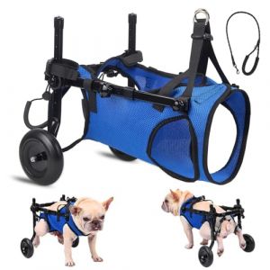 Fauteuil Roulant pour Chat et Chien Handicap&eacute; - Chariot &agrave; 2 Roues Ajustable avec Harnais Confortable, Aide &agrave; la Mobilit&eacute; et R&eacute;cup&eacute;ration, Design L&eacute;ger et Pliable pour Tous Terrains (YOUWEN LIMITED, neuf)