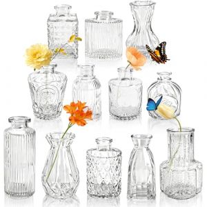 Der Rose Lot de 12 Petits Vases en Verre Transparent Vintage &agrave; Boutons, Mini Vase et Vase D&eacute;coratif pour D&eacute;corations de Mariage, Arrangements Floraux et D&eacute;corations de Table Int&eacute;rieure (Better Star Home, neuf)