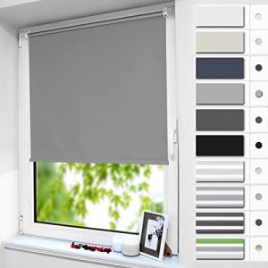 smartdemo Store Occultant sans Per&ccedil;age, Store Enrouleur Opaque Thermique Isolant, Protection de Vie Priv&eacute;e & Protection Soleil, pour Fen&ecirc;tre ou Porte, 60l x 160L cm, Gris Clair (TenArea, neuf)