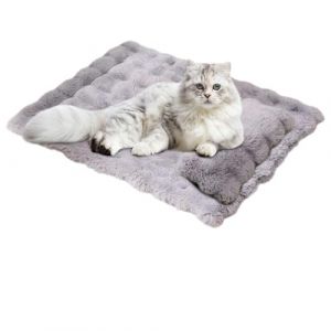 G&eacute;n&eacute;rique Lit pour Animal,Matelas Doux avec Oreiller Amovible - Grand Lit &Agrave; Chat Et Tapis De Sommeil Canin,pour Chaton Petit Moyen Grand int&eacute;rieur Maison Appartement Sol canap&eacute; Caisse chenil (Gusengo, neuf)