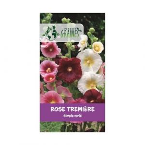20 graines de Rose Tremiere mixtes - Alcea rosea - vivace - - fleurs simple - en mélange (Planète Graines, neuf)
