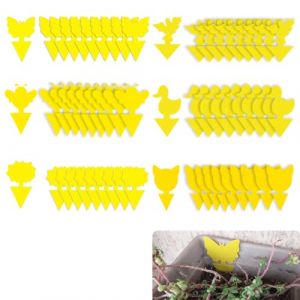 60 Pièges Pièges à Insectes, Attrape Mouches Intérieur, Plaques anti-insectes enfichables pour mouches des fruits, pucerons, mineuses et aleurodes d'intérieur (ANETTEE GLOBALISS, neuf)