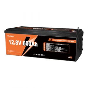 Batterie Lithium 12V 600Ah LiFePO4, 7680Wh avec BMS 200A, Max 6000 Cycles, Batterie Lithium Fer Phosphate pour Énergie Domestique, Camping-Car, Solaire, Vie Hors-Réseau (Ling Mai, neuf)