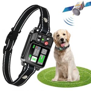 Système de clôture de Chien sans Fil GPS-Clôture de Chien électrique avec Technologie de Satellite électrique GPS, Gamme de système de clôture pour Animaux de Compagnie 20~2000m, 3 Modes imperméable (WWVVPET FR, neuf)