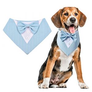 URROMA 1 collier bandana de smoking pour chien, collier r&eacute;glable &eacute;l&eacute;gant avec n&oelig;ud papillon, chien, accessoire formel, mariage, f&ecirc;te d'anniversaire, pour chiens de taille moyenne et grande, L (URROMA FR, neuf)