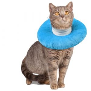 Collerette Souple Chat, Collerette Anti Lechage Chaton ColleretteAnti Grattage ColleretteSouple C&ocirc;nes Chat &Eacute;lisabeth Collier C&ocirc;ne de R&eacute;cup&eacute;ration (Bleu, M) (PUMYPOREITY, neuf)