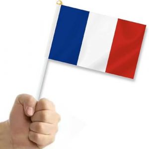 Petit Drapeau Fran&ccedil;ais 50 Pi&egrave;ces,21x14 cm, R&eacute;sistant Haute Qualit&eacute;,Supporter EQUIPE DE FRANCE,Drapeau (d'un pays) (Uzer Party, neuf)
