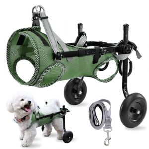 Fauteuil roulant pour pattes arrières, réglable, aide à la convalescence, chariot/fauteuil roulant pour chiens blessés, handicapés, paralysés ou souffrant de pattes arrières faibles (vert, S) (Great artwork, neuf)
