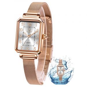 Taxau Montre pour Femme Montre Femme Montres Femmes Cadran Carr&eacute; Compact Montre-Bracelet Femme D&eacute;contract&eacute;e Professionnelle R&eacute;glable &Eacute;l&eacute;gante Montres Femmes Montre Femme Luxe Montre Femme &Eacute;tanche (JBWATCH, neuf)