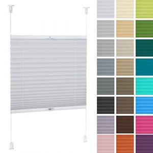 DECOOR Store Plissé 25x100cm Blanc Occultants sans Perçage Facile À Installer Store Enrouleur pour Les Fenêtres et Les Portes Intimité et Protection Contre Le Soleil Ouverture à Double Sens (DECOOR EUROPE, neuf)