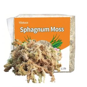 Yilotuce 500g Sphaigne pour Plante, Très Bon Substrat pour Orchidées, Bon Terreau Plante Intérieur (Yilotuce, neuf)