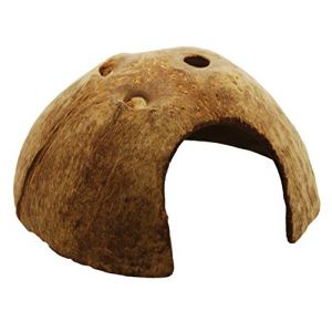 Dragon - Demi coquille de noix de coco moyenne – Grotte en noix de coco (Tropic-Shop, neuf)