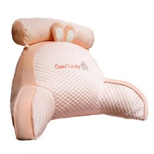 BaoT8YLu Oreiller de Lecture de lit, Repose-Dos 2 en 1 pour s'asseoir dans Le lit, Oreiller de canapé Multifonctionnel avec accoudoirs, Confort Et Ergonomie Coussin Cale Dos Canapé pour Lit Fauteuil (baihuo百货品牌店-1, neuf)