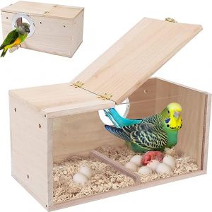 Bebochoi Nichoir pour Oiseaux Design Transparent Boîte D'élevage de Volière en Bois pour Perroquet Maison de Station d'alimentation pour Oiseaux pour Oiseaux Sauvages Sparrow 29,5 x 15 x 15 cm (HJGKKA, neuf)