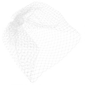 ELAYARD Voile Cage &agrave; Oiseaux en Maille Blanche pour Mari&eacute;e Accessoire de Coiffure &Eacute;l&eacute;gant Voilette Visage Mariage C&eacute;r&eacute;monie et F&ecirc;te Coiffes Mariage Femme Accessoire Cheveux Mari&eacute;e (Heyyii, neuf)