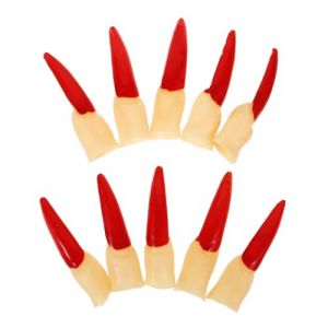 VALICLUD 10pi&egrave;ces Doigt D&eacute;coratif Halloween Doigt De Sorci&egrave;re R&eacute;utilisable Faux Compact Accessoires De F&ecirc;te Halloween R&eacute;aliste Faux Horrible Accessoire (SHUI LIAO, neuf)